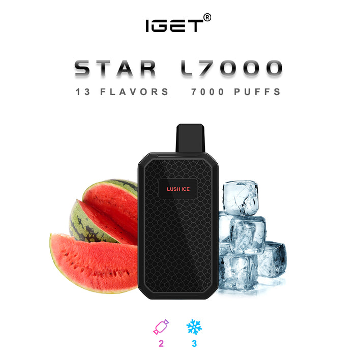 IGET Star Vape Wholesale - 7000 Puffs 1 vape wholesale